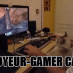 voyeur-gamer-cat