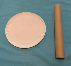 plato de cartón y tubo