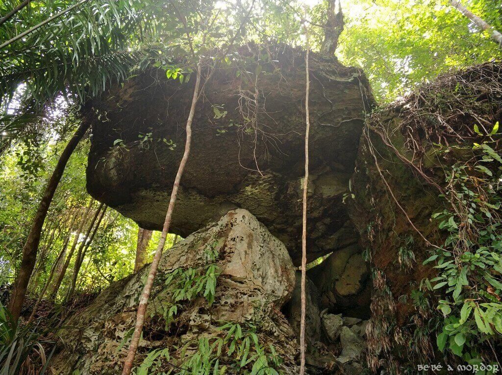 17. Kuching - Parque Nacional de Bako rutas trails