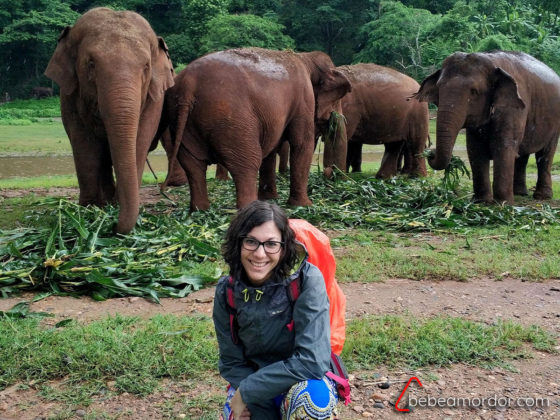 Julia arrodillada delante de un grupo de elefantes