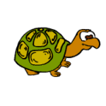 turtle