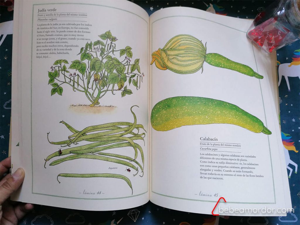 libro inventario verduras