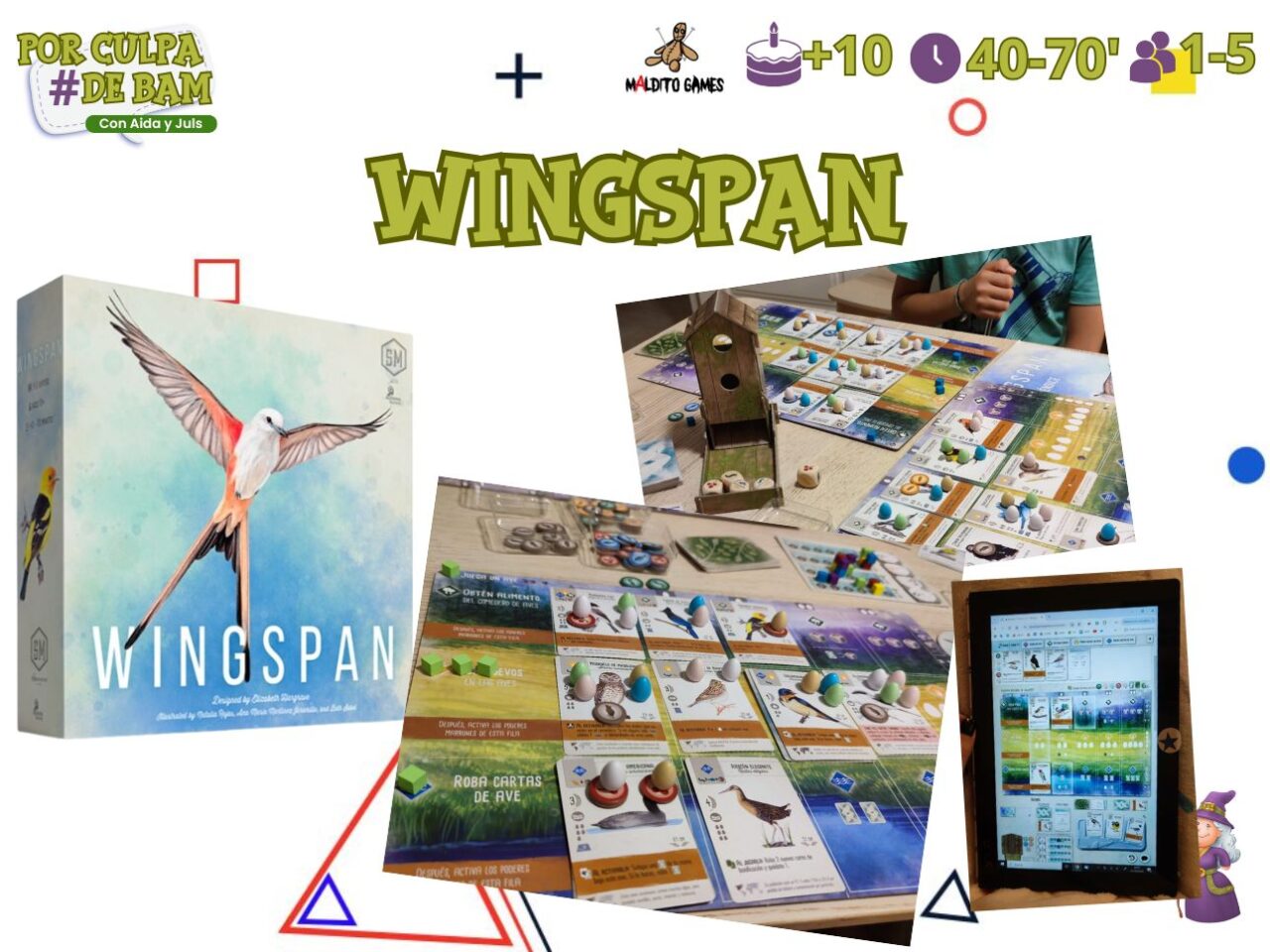 4 - wingspan