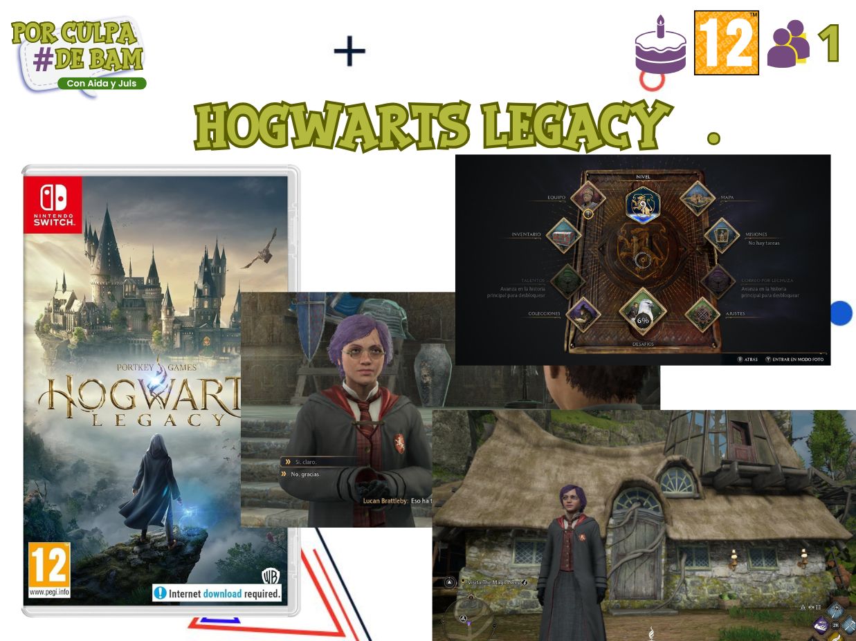 14 Hogwarts Legacy