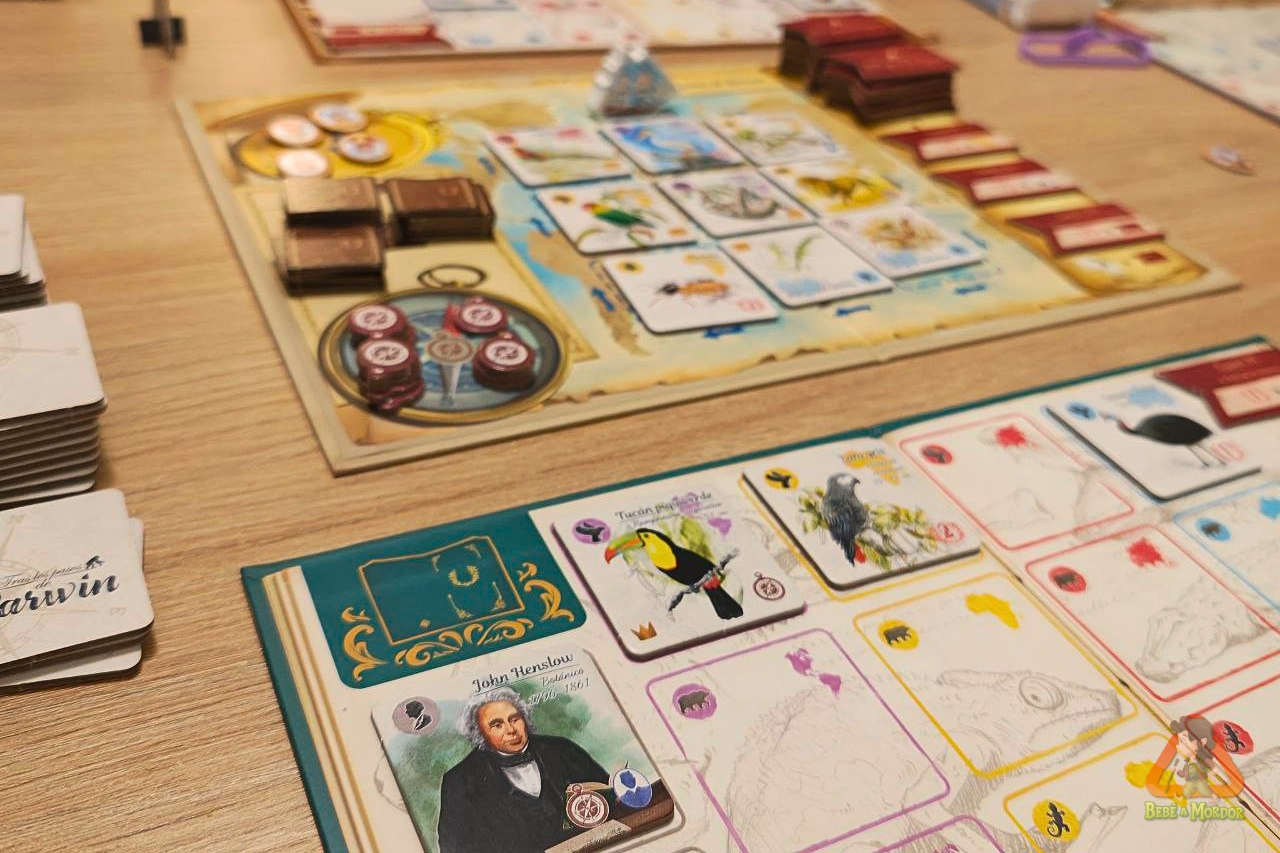 como se juega tras los pasos de darwin