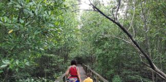 preparación viaje con niños